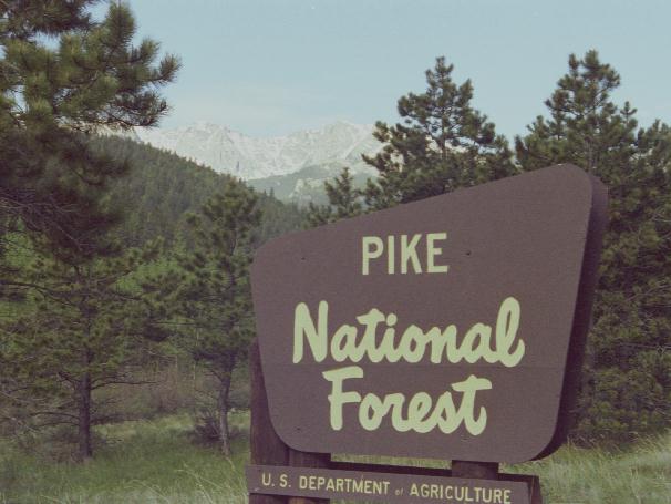 Pike National Forest Sign